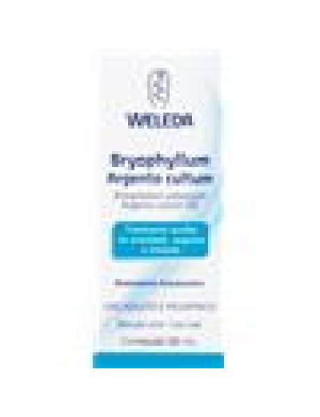 WELEDA Bryoph.Arg.C D2 50ml