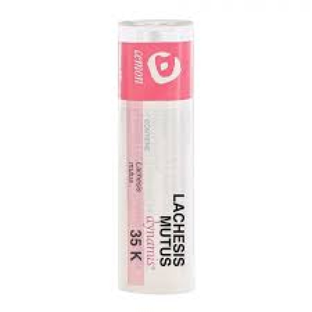 Cemon Lachesis Mutus Tubo 35K