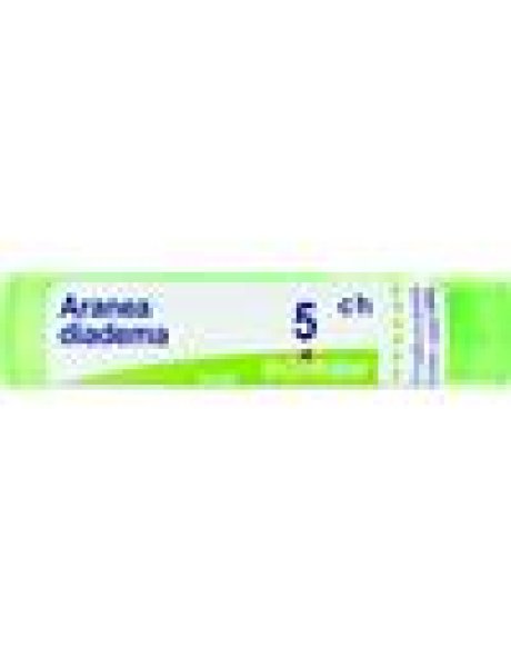 ARANEA DIADEMA 5CH GR