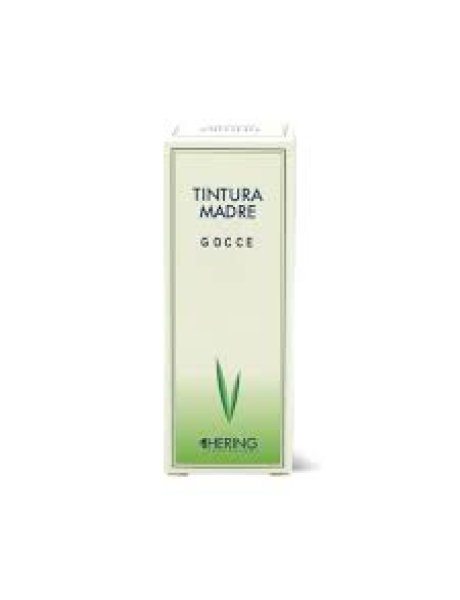 FICUS CARICA 125ML TM