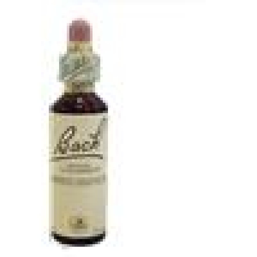 BACH CENTER ESS WHITE CHESTN20