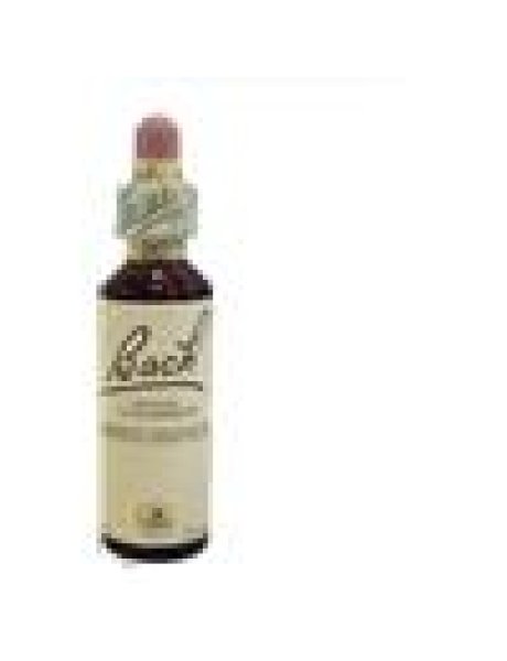 BACH CENTER ESS WHITE CHESTN20