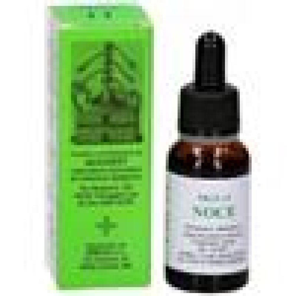 MGS11 NOCE MACERATO GLICERICO SPG 20 ML