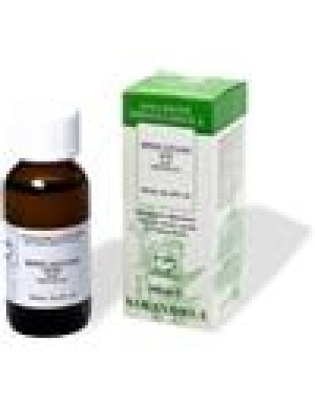 IPPOCASTANO 100ML TM