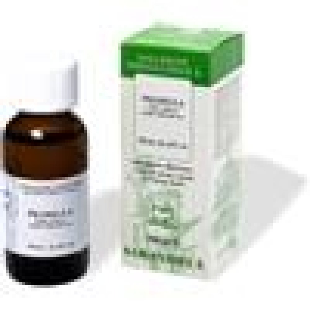 PILOSELLA Gtt  100ml SARANDREA