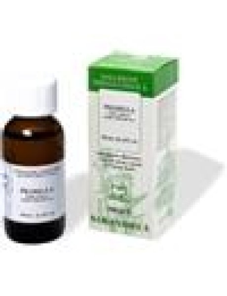PILOSELLA Gtt  100ml SARANDREA
