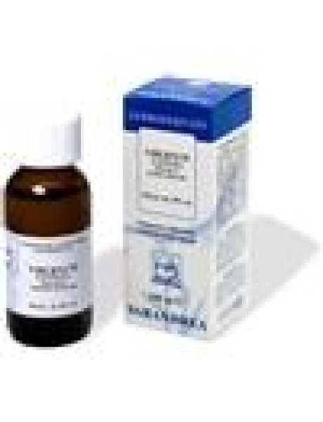 VIBURNUM LANTANA 100ML MG
