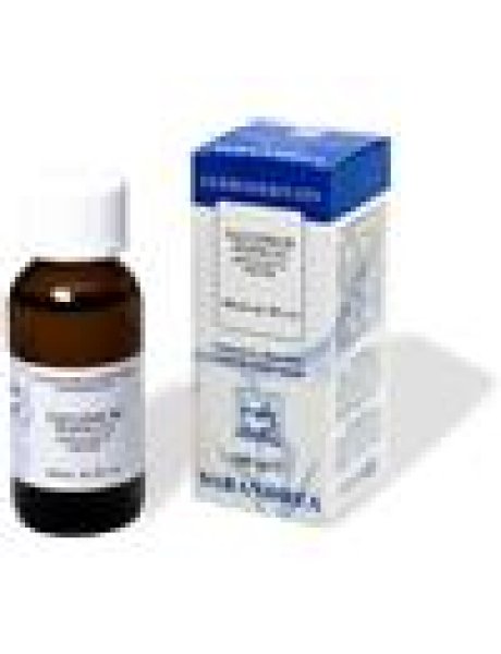 VACCINIUM MYRTILLUS 100 ML MACERATO GLICERICO