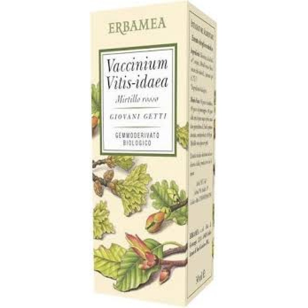 VACCINIUM VITIS IDAEA MIRTILLO ROSSO 50ML ERBAMEA