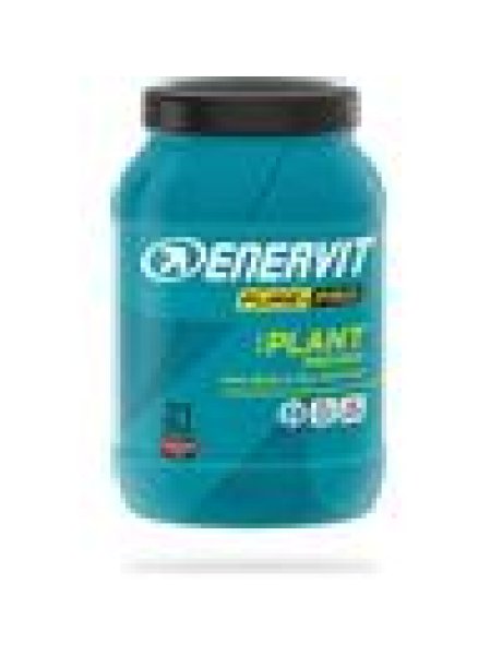 ENERVIT PP PROTEIN PLANT CACAO