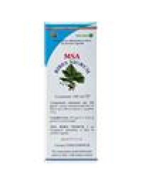 MSA RIBES NIGRUM 100ML