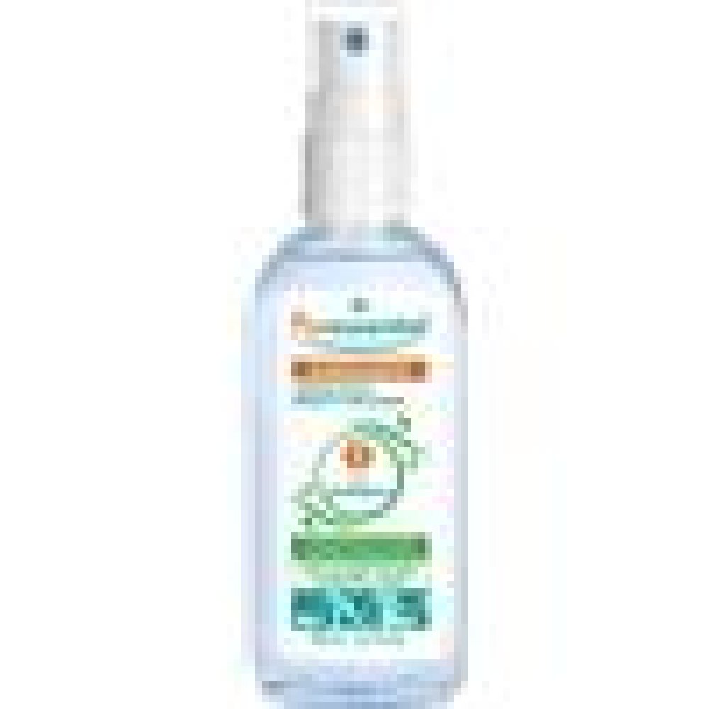 PURESSENTIEL LOZIONE SPRAY DISINFETTANTE MANI 80 ML