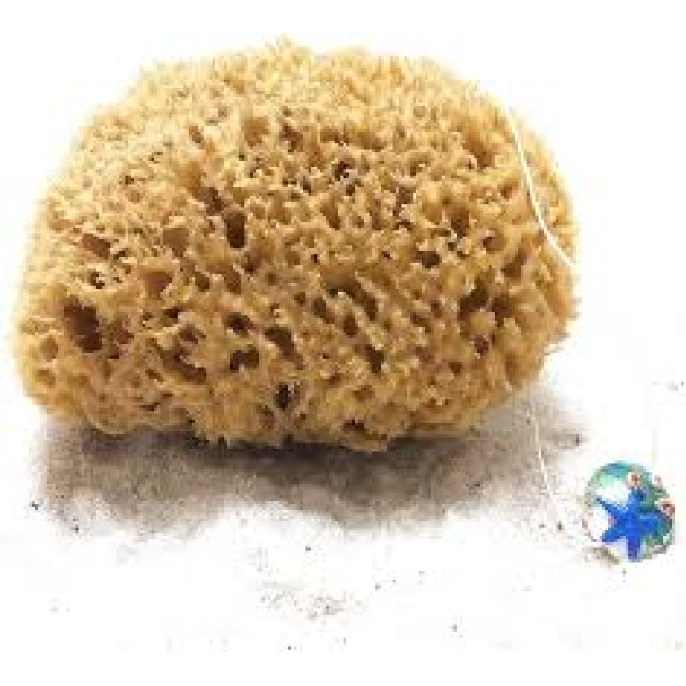 Spugna CA-MI 14 cm. : Un Tocco di Natura per la Tua Pelle