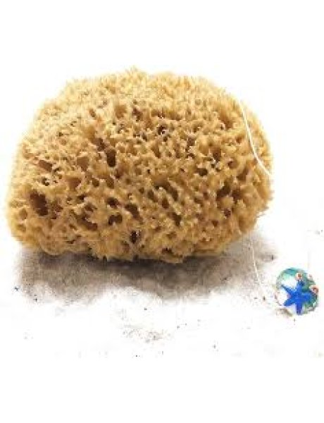 Spugna CA-MI 14 cm. : Un Tocco di Natura per la Tua Pelle