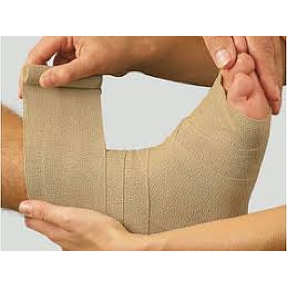 DAUERBINDE F Benda 12 cm x 7 mt