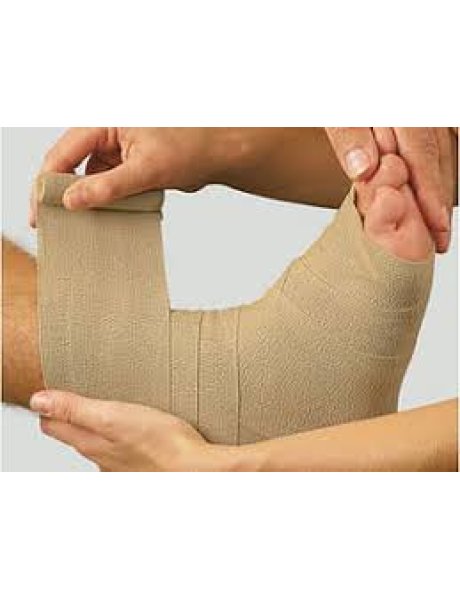 DAUERBINDE F Benda 12 cm x 7 mt