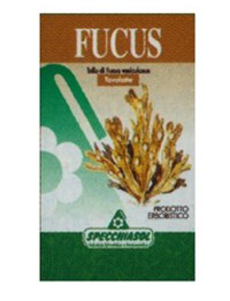 FUCUS ERBE 150TAV