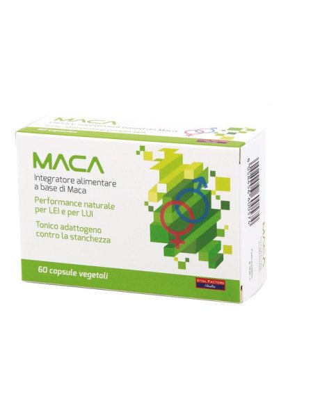 MACA 60CPS