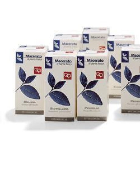 FIENO GRECO 50ML TM