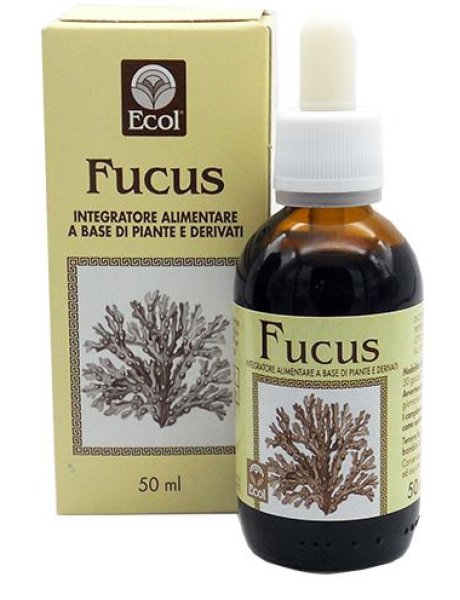 FUCUS ESTR ANALCO 50ML 796 ECO