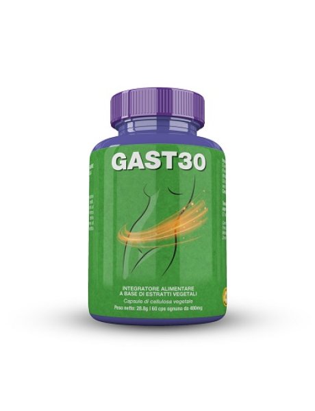 GAST 30 60 Cps