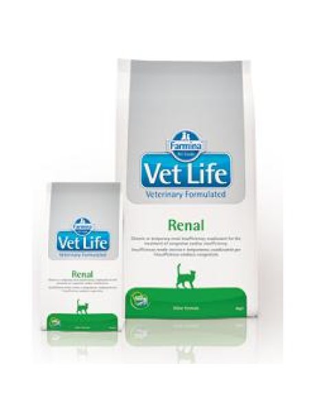 VET LIFE CAT RENAL 400 GR