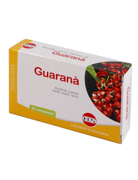 GUARANA E.S. 60CPR 300MG KOS