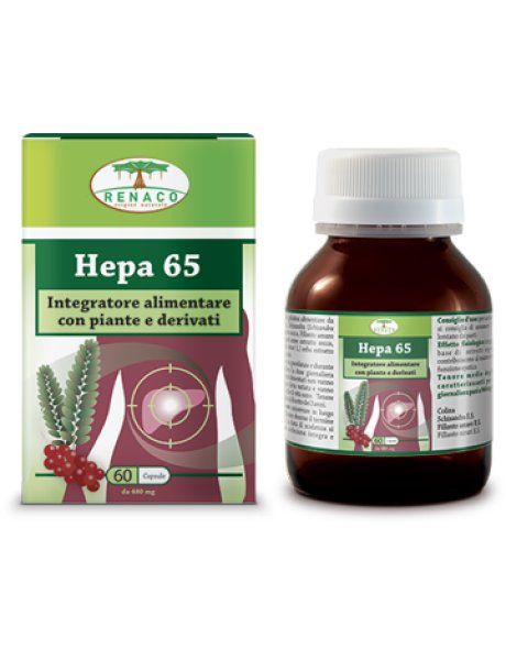 HEPA65 60CPS