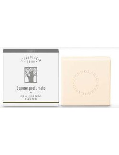 SAPONE ERBOLARIO UOMO 100G