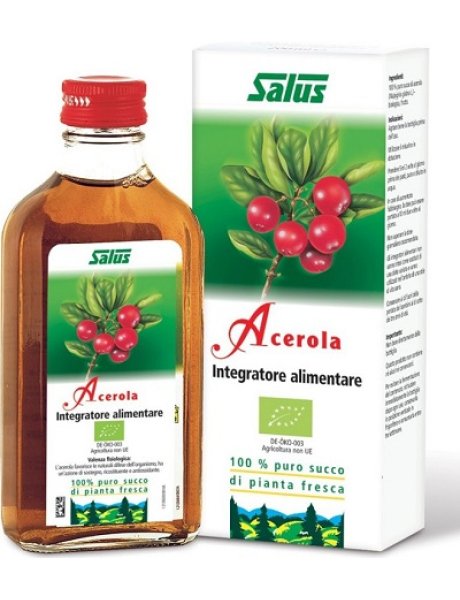 SUCCO ACEROLA 200ML