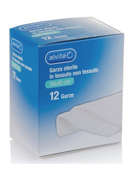 ALVITA CPR GRZ S TNT36X40 12PZ