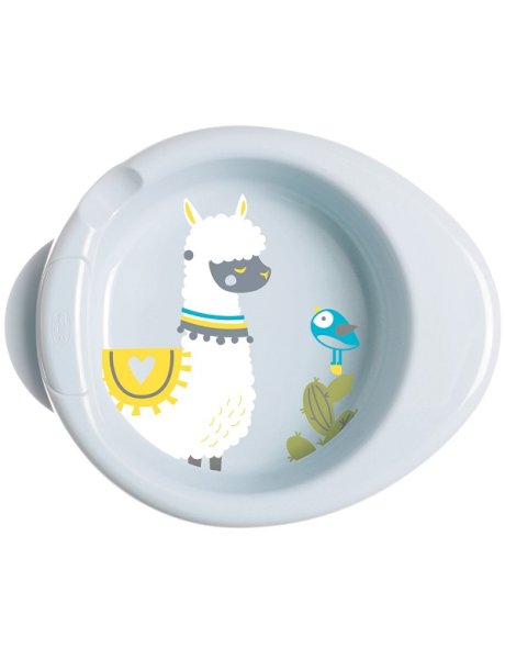 CHICCO PIATTO PAPPACALDA 6 MESI+ VERDE