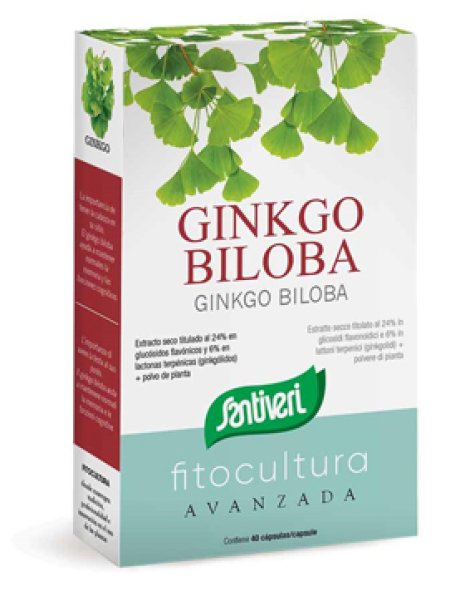 GINKGO BILOBA 40CPS