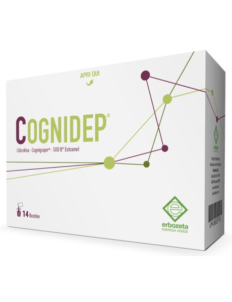 COGNIDEP 14 BUSTINE