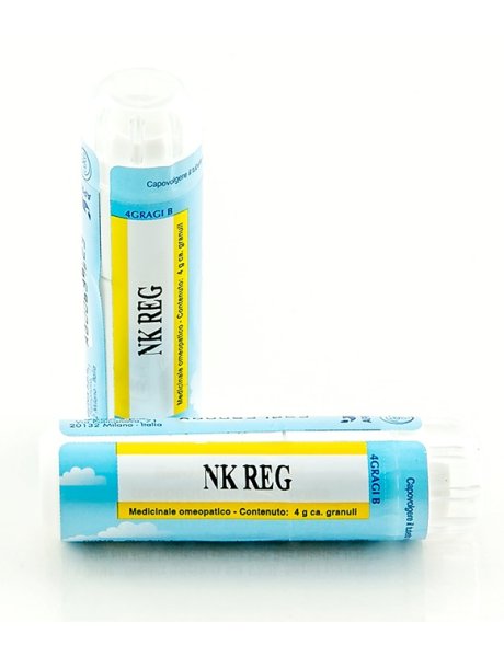 NK REG GR 4G