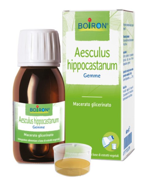 BO.AESCULUS HIPP. MG I 60ml