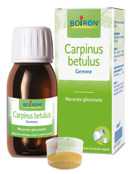 CARPINUS BETULUS MACERATO GLICERICO 60 ML INT