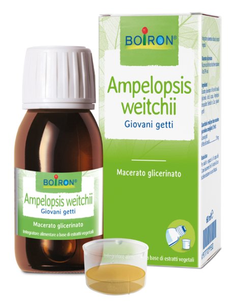 AMPELOPSIS WEI MG 60ML INT