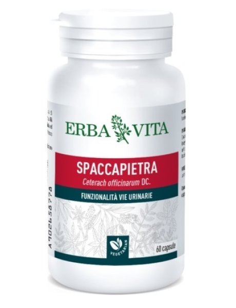 SPACCAPIETRA 60 CAPSULE