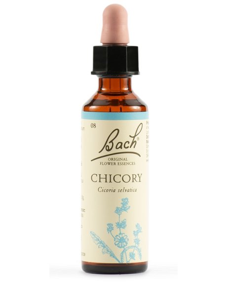 BACH  8 Chicory Gtt 20ml LKR