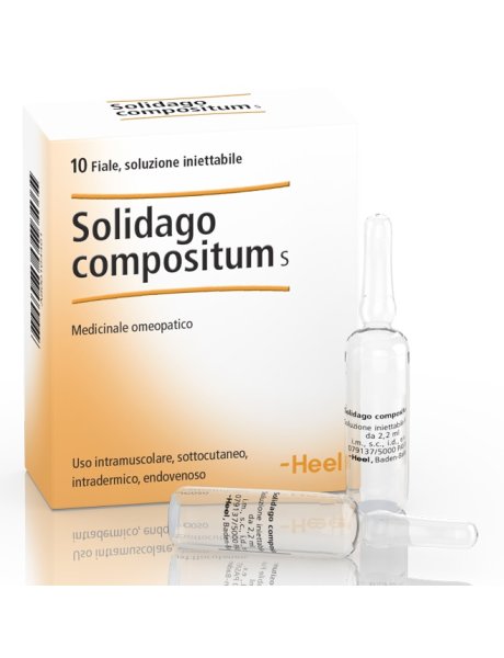 HEEL SOLIDAGO COMPOSITUM 10 FIALE DA 2,2 ML L'UNA