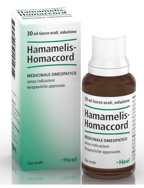 HAMAMELIS-HOMACCORD GTT