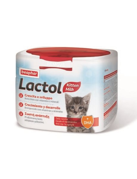 LACTOL LATTE GATTINO POWD 250g