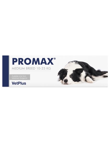 PROMAX MEDIUM BREED 18 ML