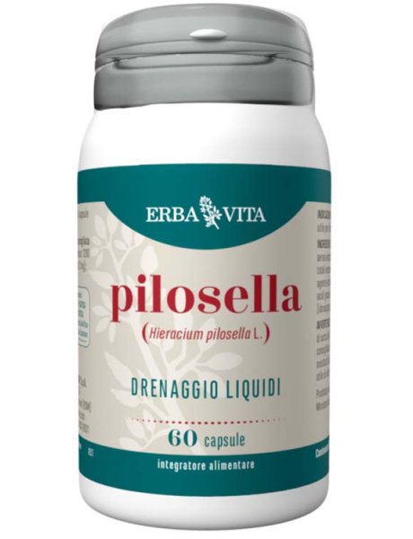 PILOSELLA 60 Cps 350mg     EBV