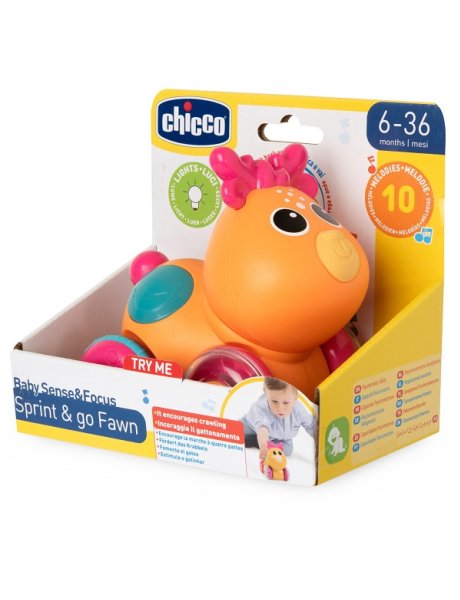 CH Gioco BSF Cerbiatto 6-36m
