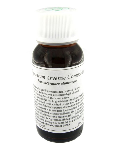 LVS 41N Equisetum Arv.Comp.