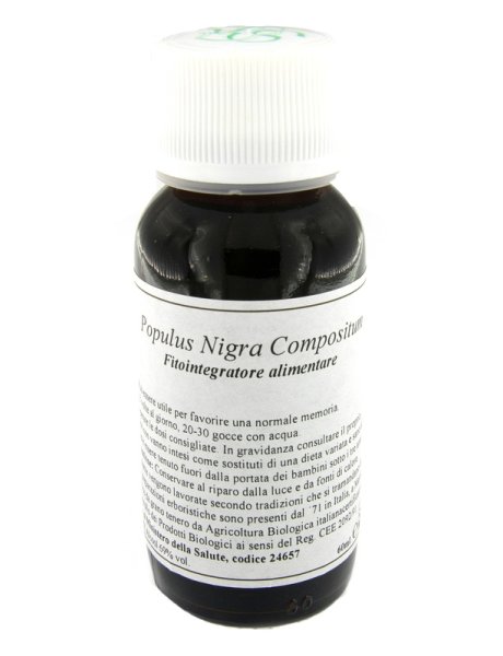 LVS 43N Populus Nigra Comp.